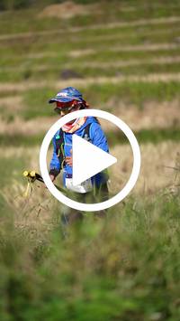 BIB:  <button type="button" onclick="openModal(26787162)" class="btn btn-primary btn-sm float-right" data-toggle="modal" data-target=".modal-high-quality">
                <i class="fa fa-download"></i> Download
                </button>